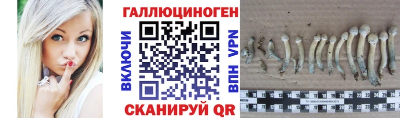 как найти закладки  Нижняя Салда  кракен зеркало  Галлюциногенные грибы GOLDEN TEACHER 